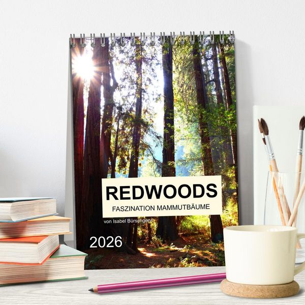 Produktbild: Redwoods - Faszination Mammutb&auml;ume (Tischkalender 2026 DIN A5 hoch), CALVENDO Monatskalender