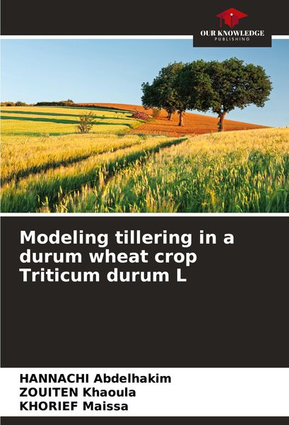 Produktbild: Modeling tillering in a durum wheat crop Triticum durum L