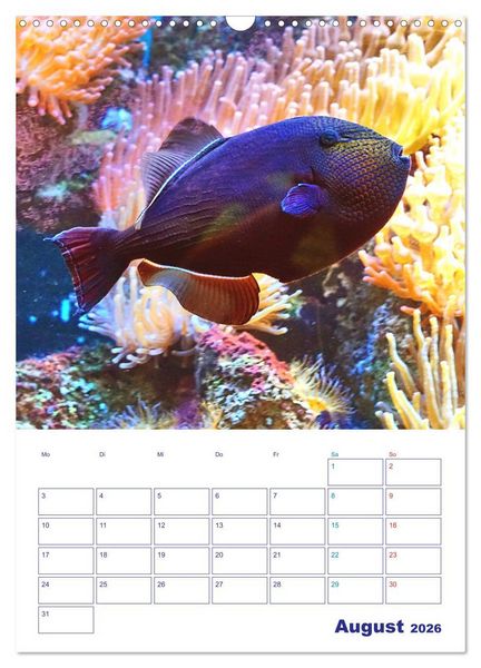 Produktbild: Bunte Meereswelten (Wandkalender 2026 DIN A3 hoch), CALVENDO Monatskalender