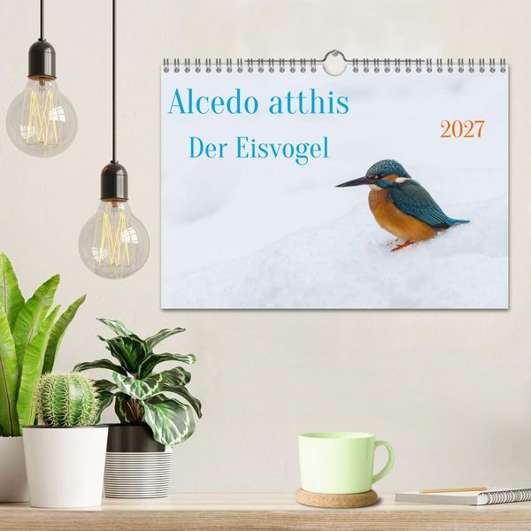 Produktbild: Alcedo atthis. Der Eisvogel (Wandkalender 2027 DIN A4 quer), CALVENDO Monatskalender
