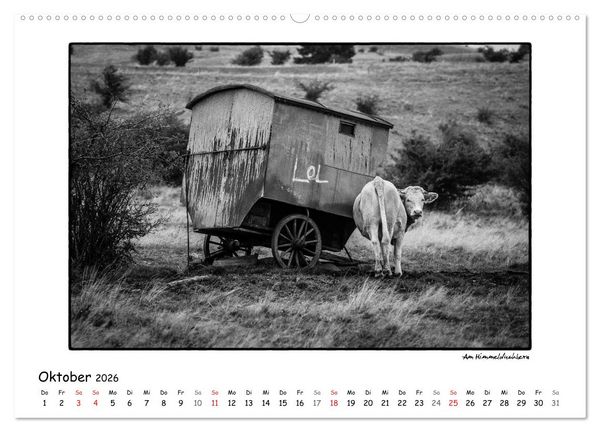 Produktbild: RH&Ouml;N SCHWARZ-WEISS (Wandkalender 2026 DIN A2 quer), CALVENDO Monatskalender