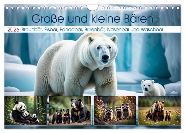 Produktbild: Gro&szlig;e und kleine B&auml;ren (Wandkalender 2026 DIN A4 quer), CALVENDO Monatskalender