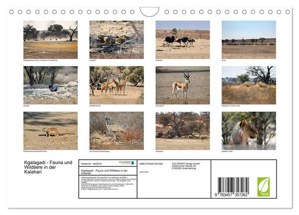 Produktbild: Kgalagadi - Fauna und Wildtiere in der Kalahari (Wandkalender 2026 DIN A4 quer), CALVENDO Monatskalender