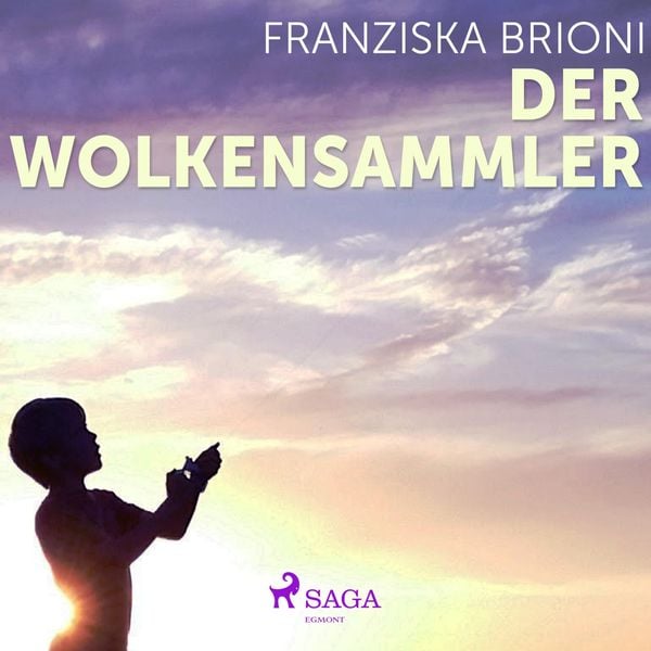 Der Wolkensammler (Ungekürzt) - Franziska Brioni, Audio, 9788711656907