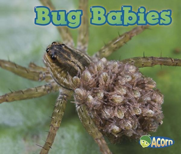 Produktbild: Bug Babies