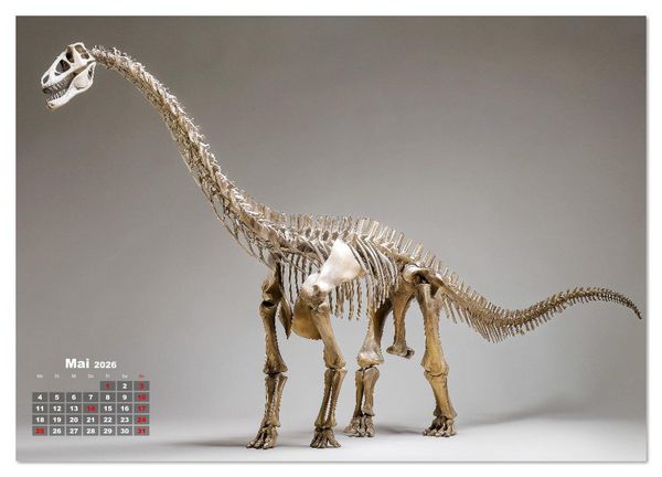 Produktbild: Knochen der Giganten - Dinosaurier im Portr&auml;t (Wandkalender 2026 DIN A2 quer), CALVENDO Monatskalender