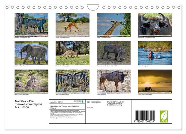 Produktbild: Namibia &ndash; Die Tierwelt vom Caprivi bis Etosha (Wandkalender 2026 DIN A4 quer), CALVENDO Monatskalender