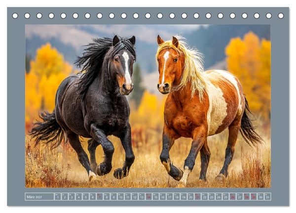 Produktbild: Mustangs. Pferde in ihrer wildesten Sch&ouml;nheit (Tischkalender 2027 DIN A5 quer), CALVENDO Monatskalender