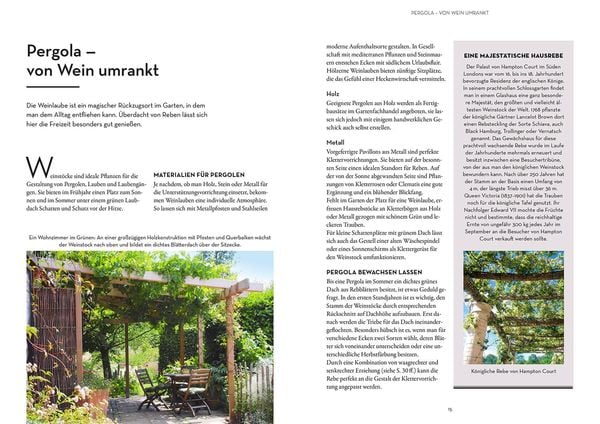 Produktbild: Wein im Garten anbauen & ernten