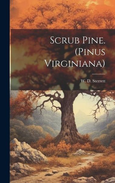 Produktbild: Scrub Pine. (Pinus Virginiana)