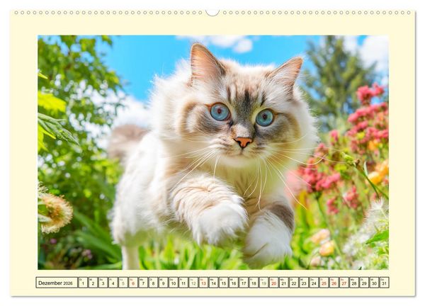 Produktbild: Liebliche Ragdolls. Katzen-Sch&ouml;nheiten in ihrer gr&uuml;nen Oase (hochwertiger Premium Wandkalender 2026 DIN A2 quer), Kunstdruck in Hochglanz