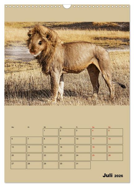 Produktbild: Seltsame Tiere - da stimmt doch was nicht... (Wandkalender 2026 DIN A3 hoch), CALVENDO Monatskalender
