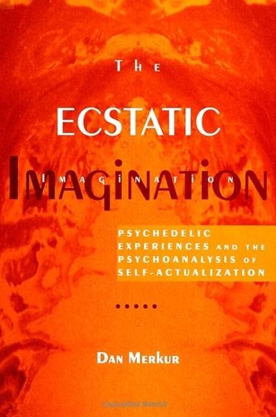 Produktbild: The Ecstatic Imagination