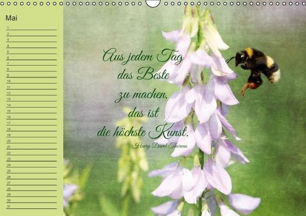 Produktbild: Spruchreifer Geburtstagskalender (Wandkalender immerw&auml;hrend DIN A3 quer)