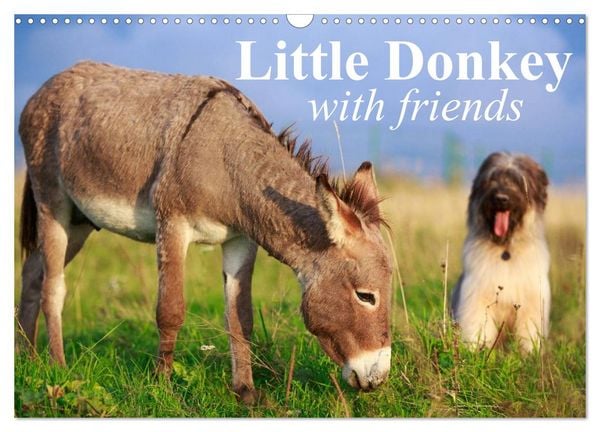 Produktbild: Little Donkey with Friends (Wall Calendar 2026 DIN A3 landscape), CALVENDO 12 Month Wall Calendar