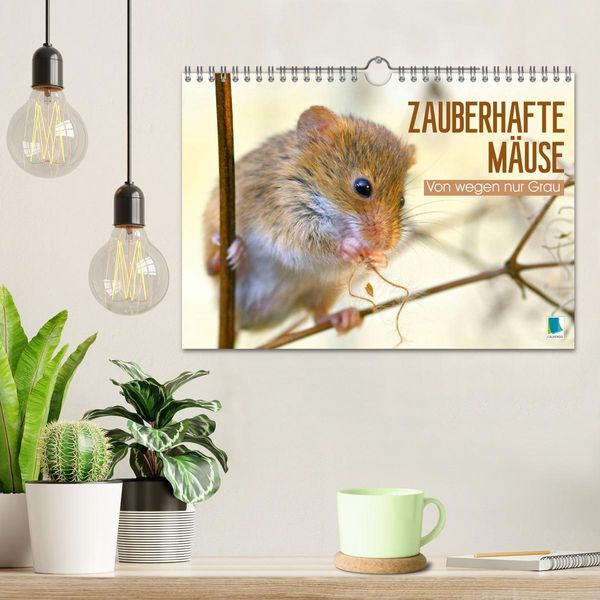 Produktbild: Zauberhafte M&auml;use: Von wegen nur Grau (Wandkalender 2026 DIN A4 quer), CALVENDO Monatskalender