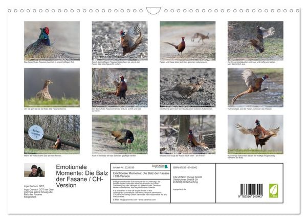 Produktbild: Emotionale Momente: Die Balz der Fasane / CH-Version (Wandkalender 2026 DIN A3 quer), CALVENDO Monatskalender