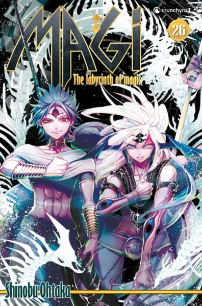 Magi – The Labyrinth of Magic – Band 26