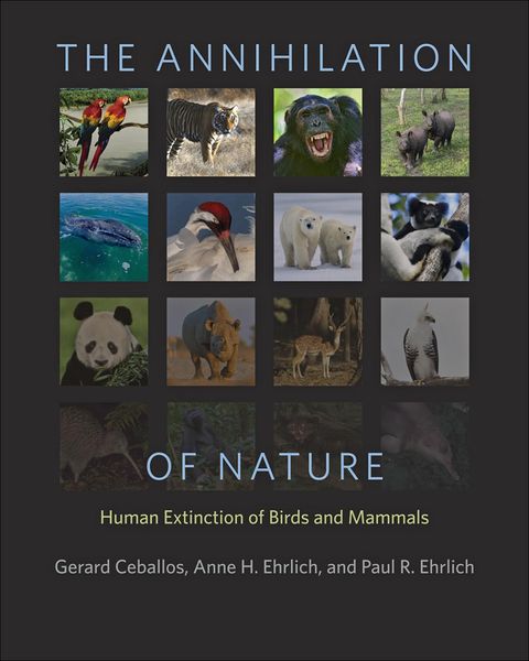 Produktbild: Annihilation of Nature