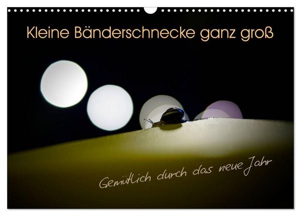 Produktbild: Kleine B&auml;nderschnecke ganz gro&szlig; - Gem&uuml;tlich durch das neue Jahr (Wandkalender 2026 DIN A3 quer), CALVENDO Monatskalender
