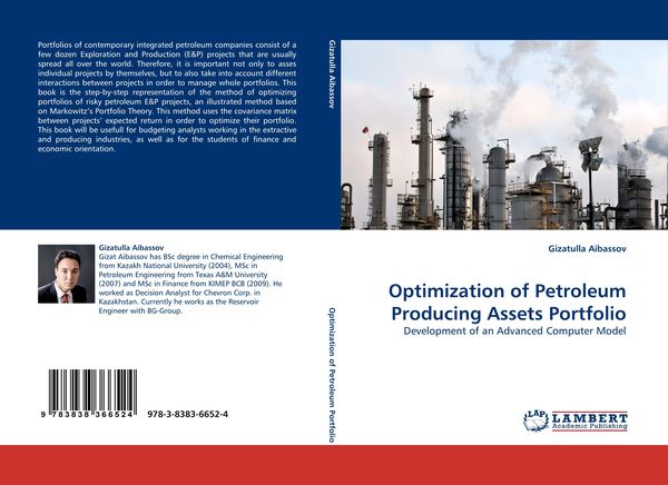 Produktbild: Optimization of Petroleum Producing Assets Portfolio