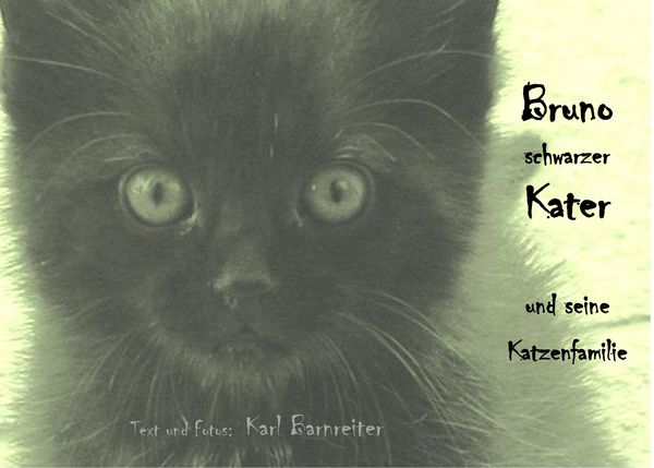 Produktbild: Bruno schwarzer Kater