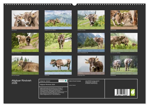Produktbild: Allg&auml;uer Rindvieh 2026 (hochwertiger Premium Wandkalender 2026 DIN A2 quer), Kunstdruck in Hochglanz