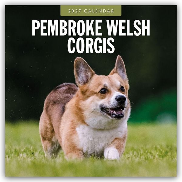 Produktbild: Pembroke Welsh Corgis &ndash; Pembroke Welsh Corgi 2027 &ndash; 16-Monatskalender