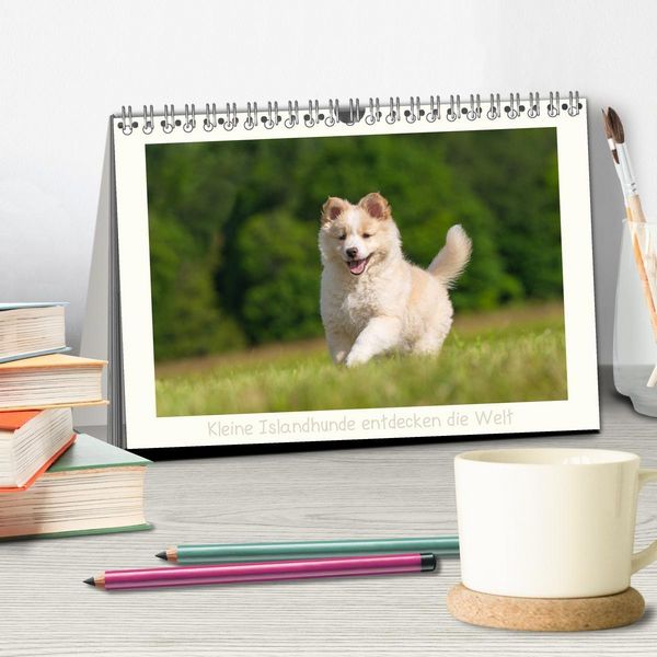 Produktbild: Kleine Islandhunde entdecken die Welt (Tischkalender 2027 DIN A5 quer), CALVENDO Monatskalender