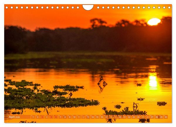 Produktbild: Der Amazonas: von den Anden zum Atlantik (Wandkalender 2026 DIN A4 quer), CALVENDO Monatskalender
