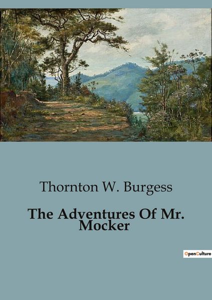 Produktbild: The Adventures Of Mr. Mocker