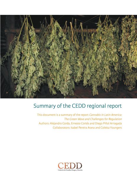 Produktbild: Summary of the CEDD regional report