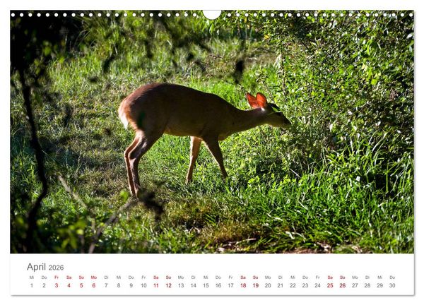 Produktbild: Faszinierendes Argentinien (Wandkalender 2026 DIN A3 quer), CALVENDO Monatskalender
