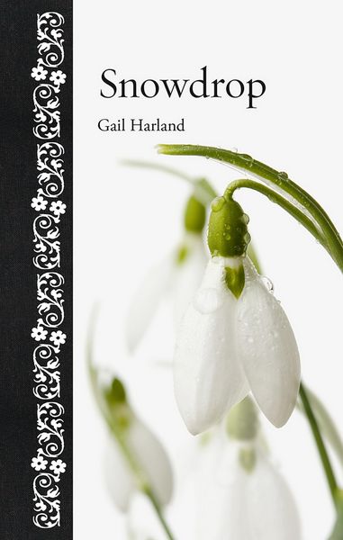 Produktbild: Snowdrop