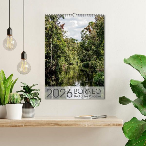 Produktbild: BORNEO Bedrohtes Paradies (Wandkalender 2026 DIN A3 hoch), CALVENDO Monatskalender