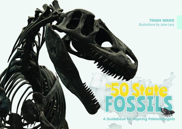 Produktbild: The 50 State Fossils