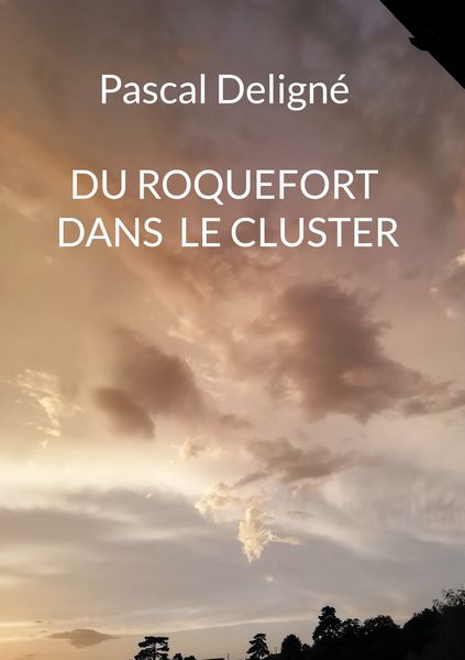 Produktbild: Du roquefort dans le cluster