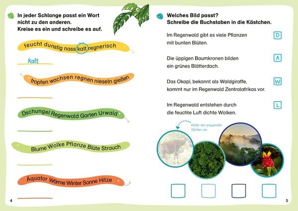 Produktbild: WAS IST WAS Erstes Lesen. Leser&auml;tsel Regenwald