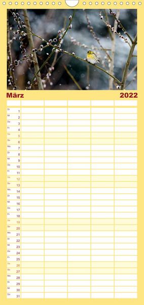 Produktbild: Familienplaner Gartenv&ouml;gel (Wandkalender 2022 , 21 cm x 45 cm, hoch)