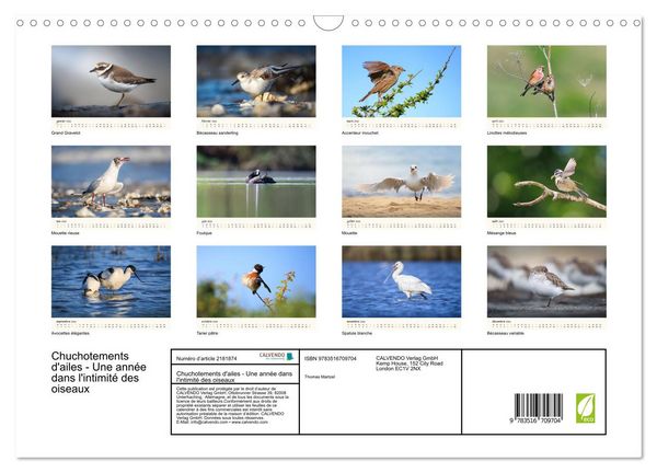 Produktbild: Chuchotements d'ailes - Une ann&eacute;e dans l'intimit&eacute; des oiseaux (Calendrier mural 2026 DIN A3 vertical), CALVENDO calendrier mensuel