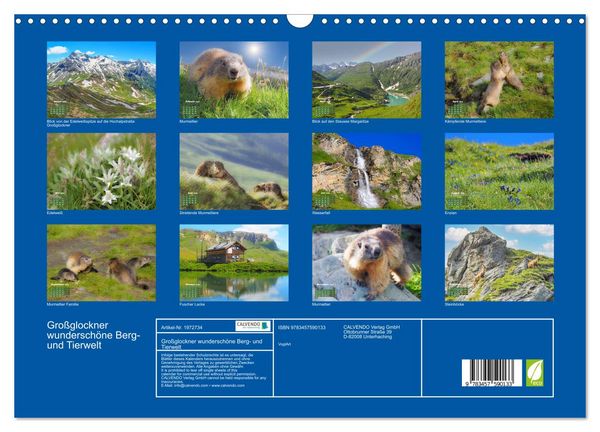 Produktbild: Gro&szlig;glockner wundersch&ouml;ne Berg- und Tierwelt (Wandkalender 2026 DIN A3 quer), CALVENDO Monatskalender