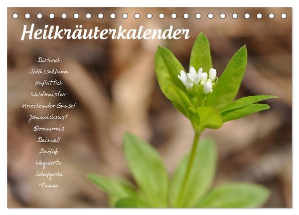 Heilkräuterkalender (Tischkalender 2026 DIN A5 quer), CALVENDO Monatskalender