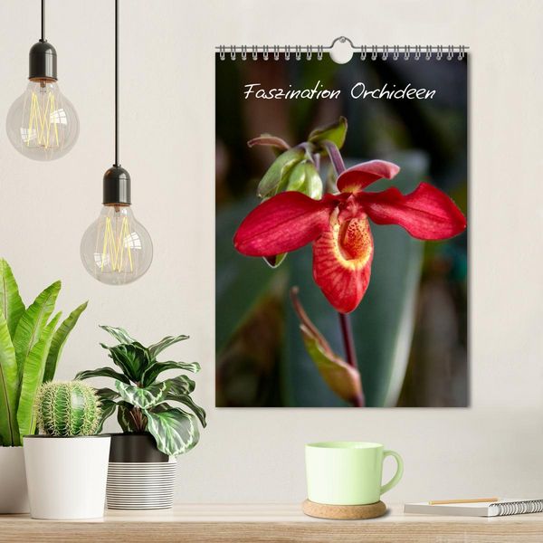 Produktbild: Faszination Orchideen (Wandkalender 2026 DIN A4 hoch), CALVENDO Monatskalender