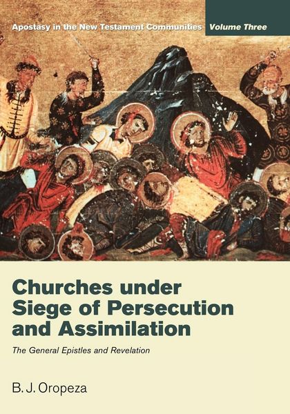 Produktbild: Churches under Siege of Persecution and Assimilation