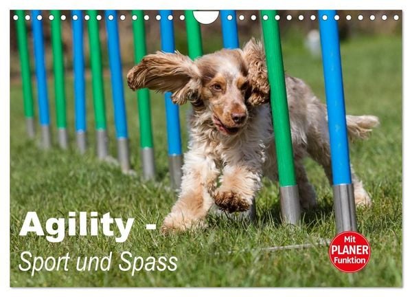 Produktbild: Agility - Sport und Spass (Wandkalender 2027 DIN A4 quer), CALVENDO Monatskalender