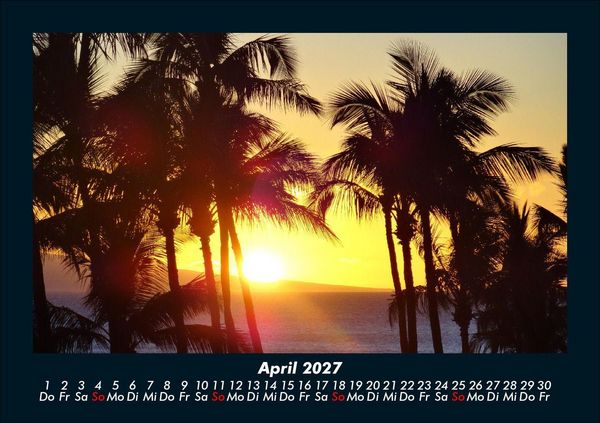 Produktbild: Palmentraum 2027 Fotokalender DIN A5
