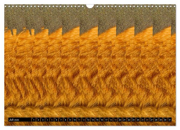 Produktbild: Magische Bilder - 3D Stereogramme (Wandkalender 2026 DIN A3 quer), CALVENDO Monatskalender