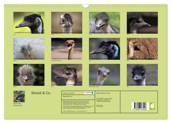 Produktbild: Strau&szlig; & Co. (Wandkalender 2026 DIN A3 quer), CALVENDO Monatskalender