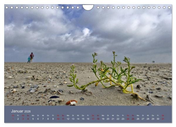 Produktbild: Norderney - Meine Trauminsel (Wandkalender 2026 DIN A4 quer), CALVENDO Monatskalender