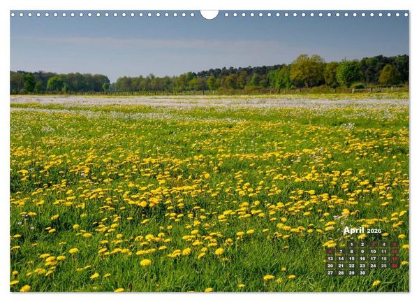 Produktbild: Die Dingdener Heide im Wandel der Jahreszeiten (Wandkalender 2026 DIN A3 quer), CALVENDO Monatskalender